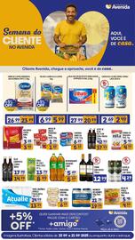 Catálogo Supermercados Avenida Página 10