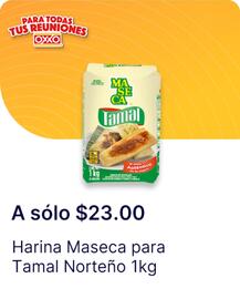 Catálogo OXXO Página 10
