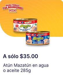 Catálogo OXXO Página 17