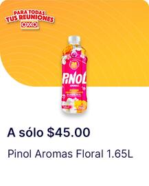 Catálogo OXXO Página 46