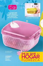 Catálogo Fuller Página 8