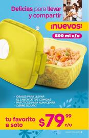 Catálogo Fuller Página 9