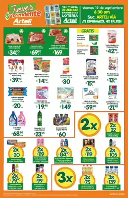 Folleto Arteli (válido hasta 18-09)