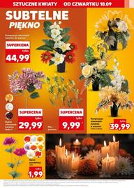 ALDI gazetka tydzień 38 Strona 19