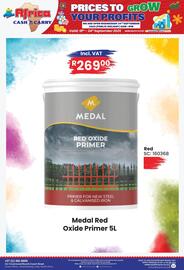 Africa Cash and Carry catalogue week 38 Page 11