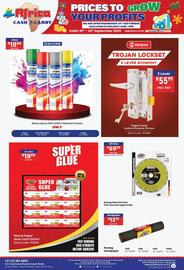 Africa Cash and Carry catalogue week 38 Page 13