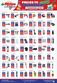 Africa Cash and Carry catalogue week 38 Page 25