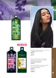 Catálogo Yves Rocher Página 43