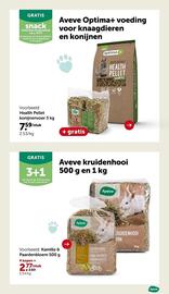 AVEVE folder Pagina 17