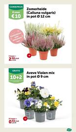 AVEVE folder Pagina 19