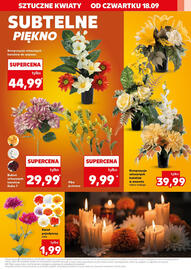 Kaufland gazetka tydzień 38 Strona 19