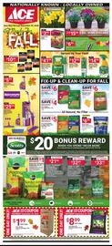 Ace Hardware flyer Page 1