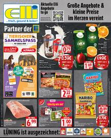 Elli Markt Prospekt woche 39 Seite 1