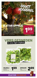 Ekoplaza folder week 39 Pagina 13