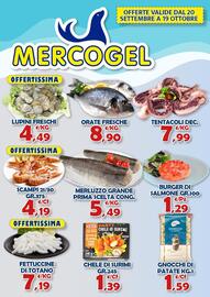 Volantino Mercogel Pagina 1