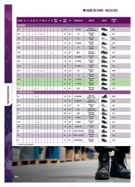 Catalogue Master Pro page 266