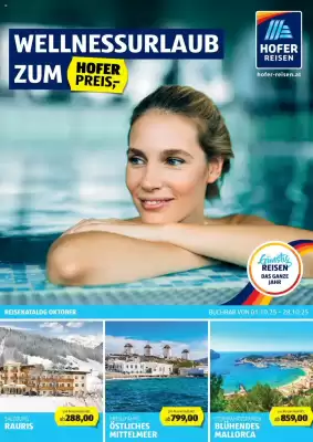 Hofer Reisen Flugblatt