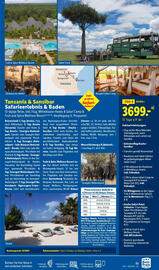 Lidl Flugblatt Seite 13