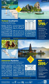 Lidl Flugblatt Seite 15