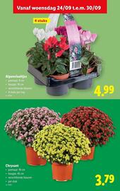 Lidl folder week 39 Pagina 32
