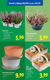 Lidl folder week 39 Pagina 51