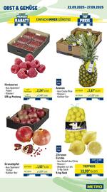 METRO Prospekt woche 39 Seite 7
