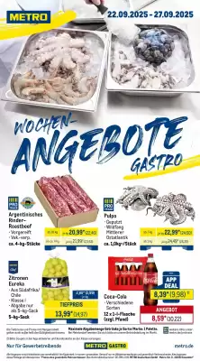 METRO Prospekt (gültig bis 28-09)