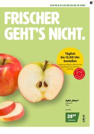 Eurogast Grissemann Flugblatt Seite 3