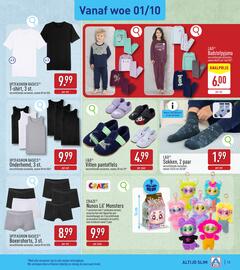 ALDI folder week 40 Pagina 13