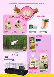 Supra Bazar folder Pagina 6