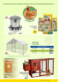 Supra Bazar folder Pagina 7