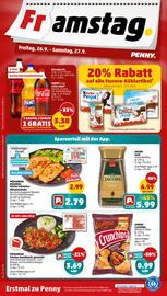 PENNY Prospekt woche 39 Seite 42
