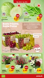 PENNY Prospekt woche 39 Seite 7