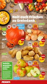 PENNY Prospekt woche 39 Seite 8
