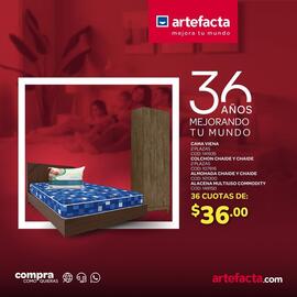 Catálogo Artefacta semana 38 Página 6
