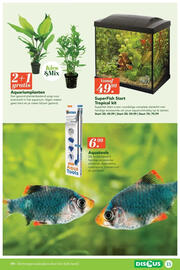 Discus folder Pagina 13