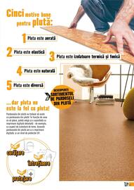 Magazine Hornbach Pagină 51