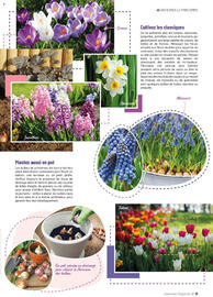 Catalogue VillaVerde page 17