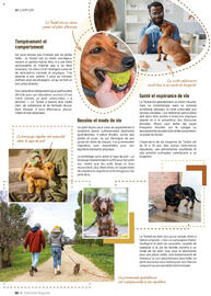 Catalogue VillaVerde page 62