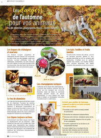 Catalogue VillaVerde page 66