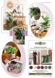 Catalogue VillaVerde page 29