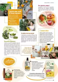 Catalogue VillaVerde page 35