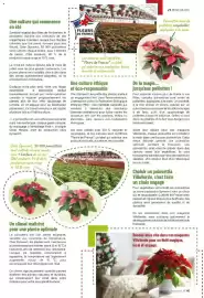 Catalogue VillaVerde page 41