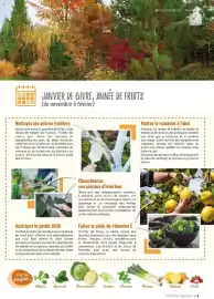 Catalogue VillaVerde page 5