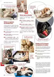 Catalogue VillaVerde page 56