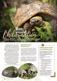 Catalogue VillaVerde page 58