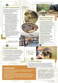 Catalogue VillaVerde page 59