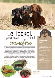 Catalogue VillaVerde page 61