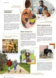 Catalogue VillaVerde page 62