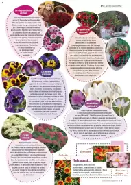 Catalogue VillaVerde page 7